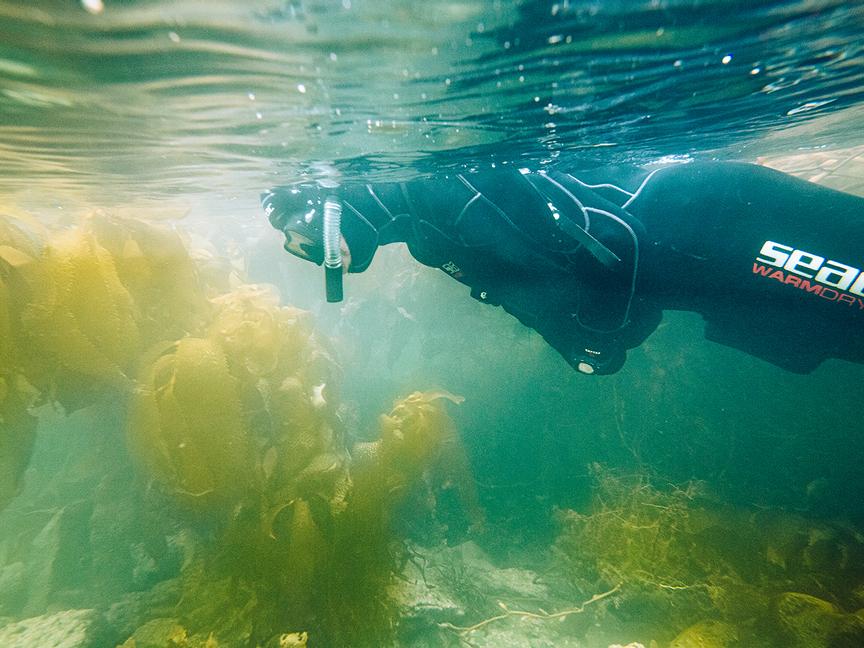 Los Cauquenes Resort | Ushuaia, Tierra del Fuego | 1