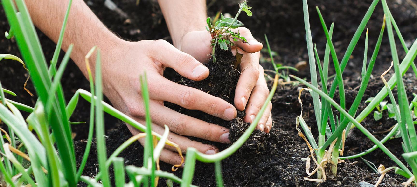 Los Cauquenes Resort | Ushuaia, Tierra del Fuego | 1