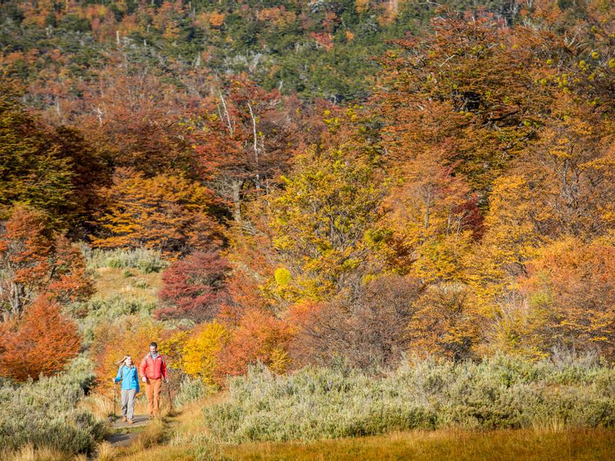 Los Cauquenes Resort | Ushuaia, Tierra del Fuego | 2