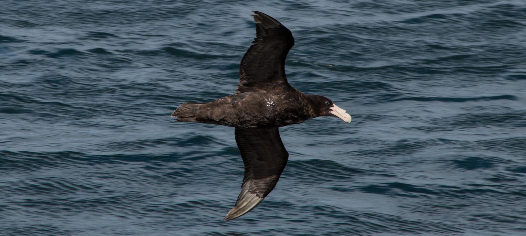 Los Cauquenes Resort | Ushuaia, Tierra del Fuego | 1