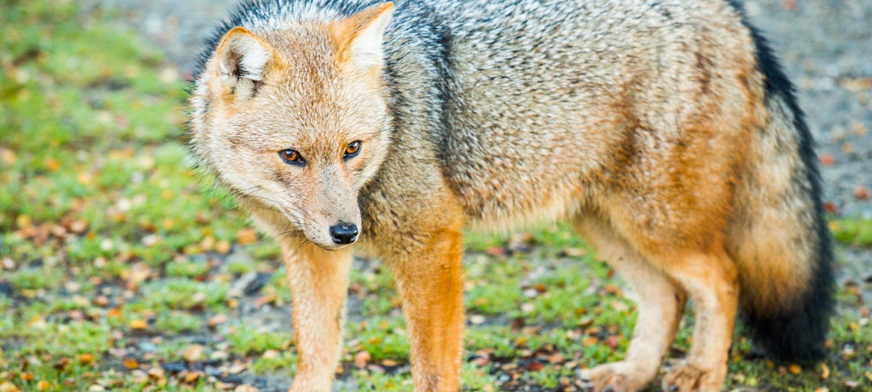 Los Cauquenes Resort | Ushuaia, Tierra del Fuego | 3