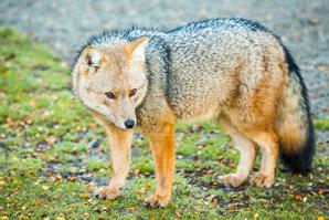 Los Cauquenes Resort | Ushuaia, Tierra del Fuego | Photo Gallery - 8