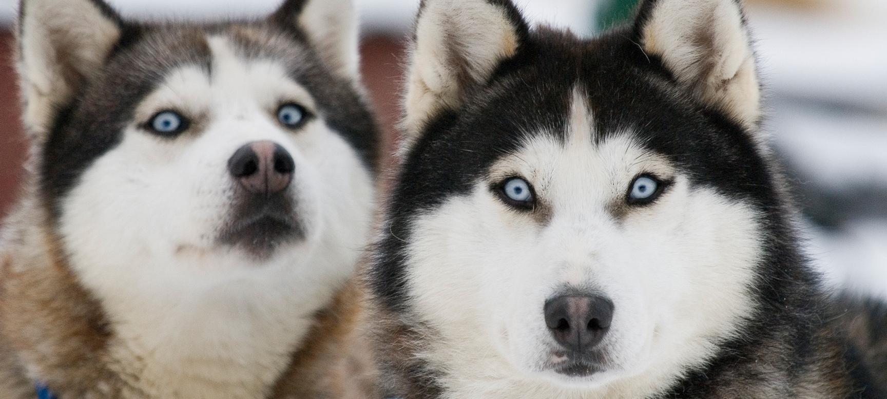 Los Cauquenes Resort | Ushuaia, Tierra del Fuego | 2