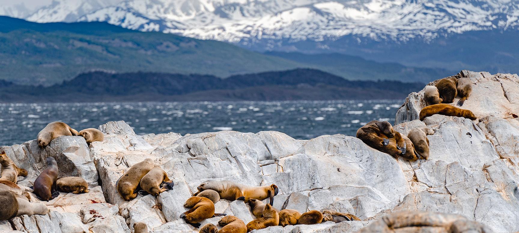 Los Cauquenes Resort | Ushuaia, Tierra del Fuego | 5