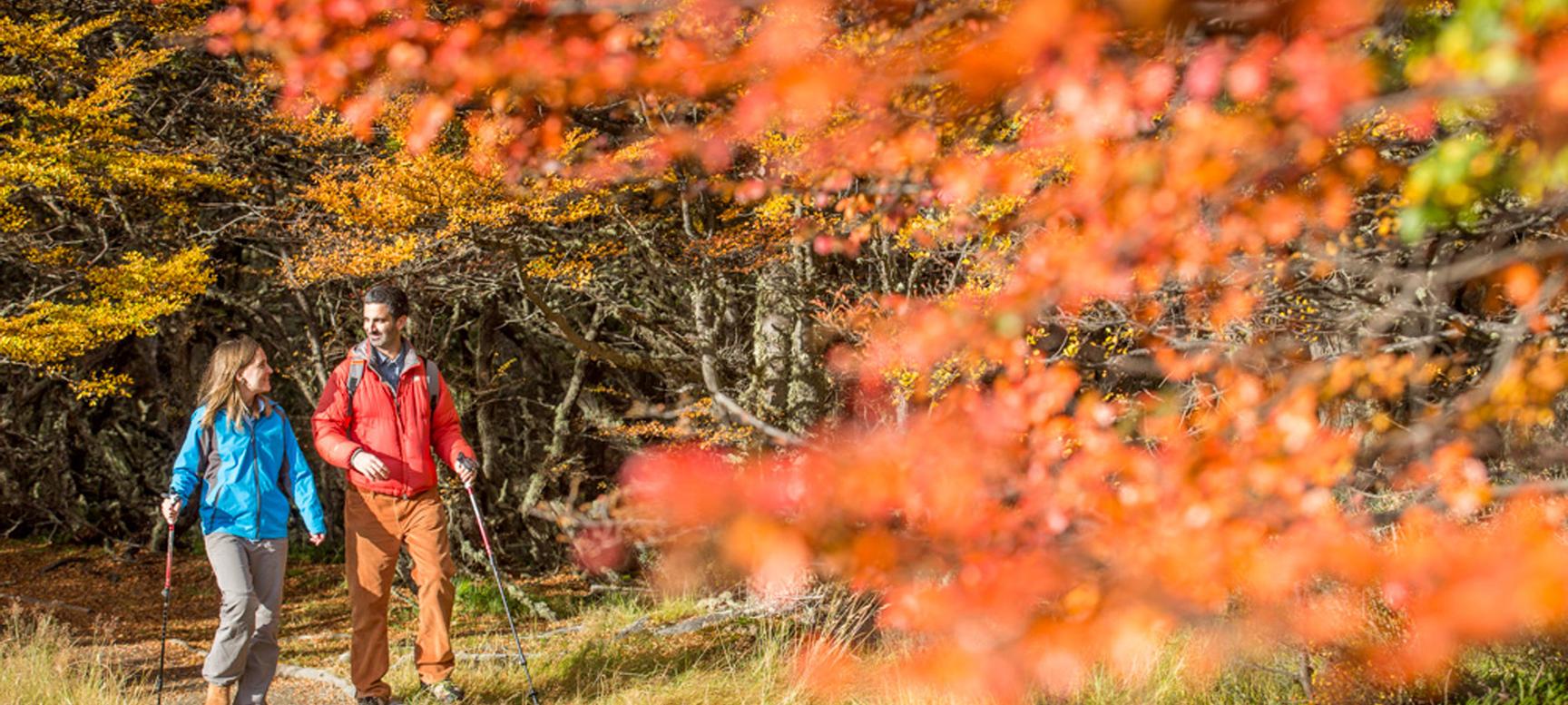 Los Cauquenes Resort | Ushuaia, Tierra del Fuego | 2