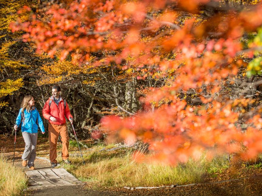 Los Cauquenes Resort | Ushuaia, Tierra del Fuego | 1