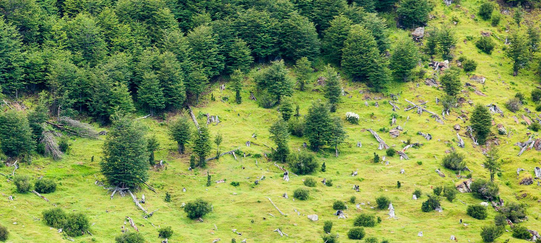 Los Cauquenes Resort | Ushuaia, Tierra del Fuego | 3