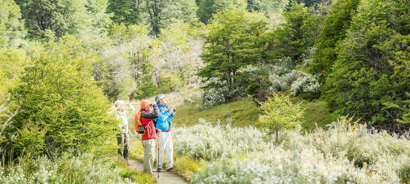 Los Cauquenes Resort | Ushuaia, Tierra del Fuego | 3