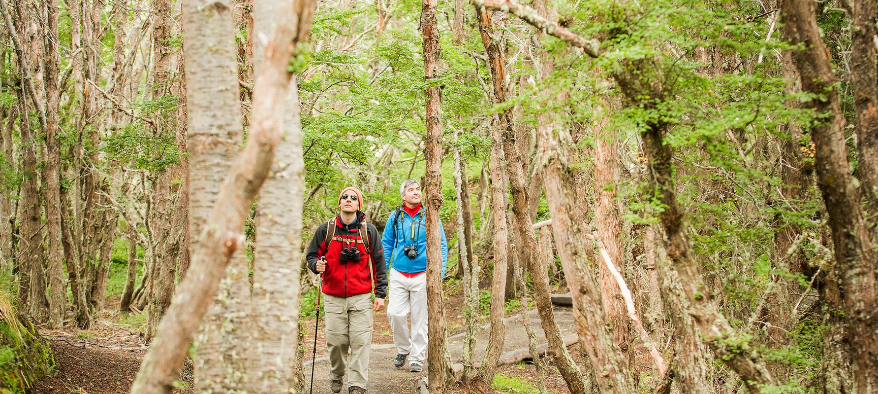 Los Cauquenes Resort | Ushuaia, Tierra del Fuego | 4
