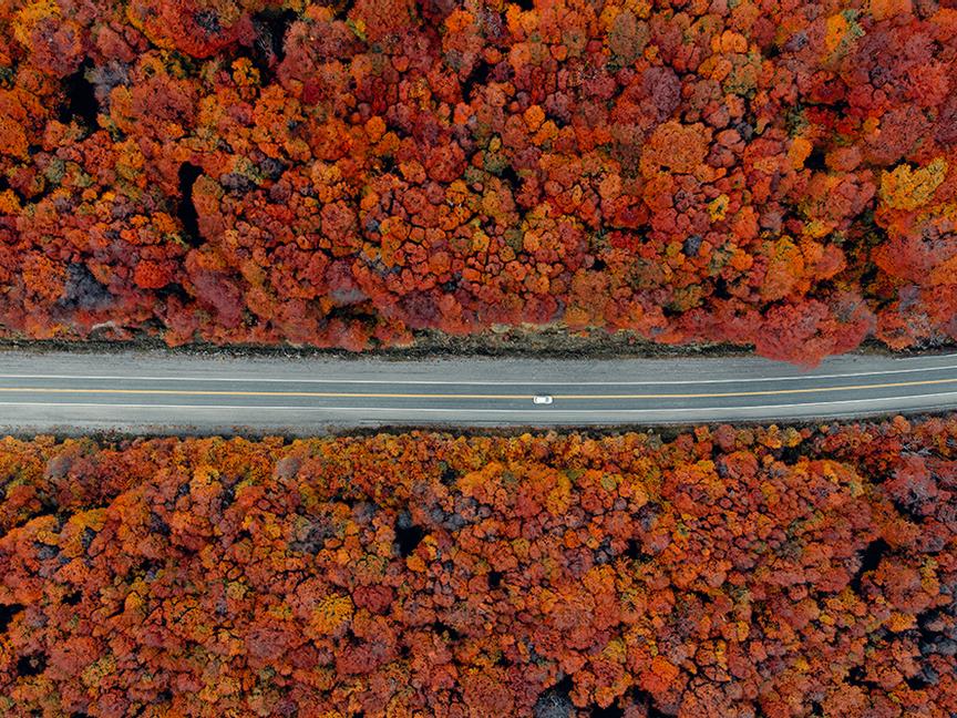 Los Cauquenes Resort | Ushuaia, Tierra del Fuego | 2