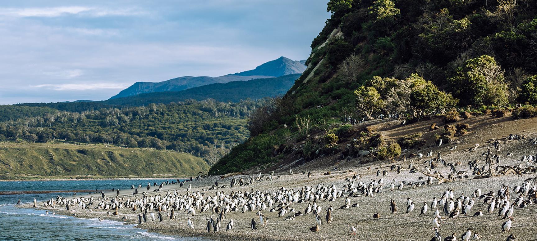 Los Cauquenes Resort | Ushuaia, Tierra del Fuego | 1