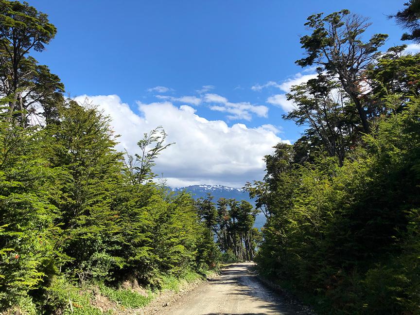 Los Cauquenes Resort | Ushuaia, Tierra del Fuego | 1